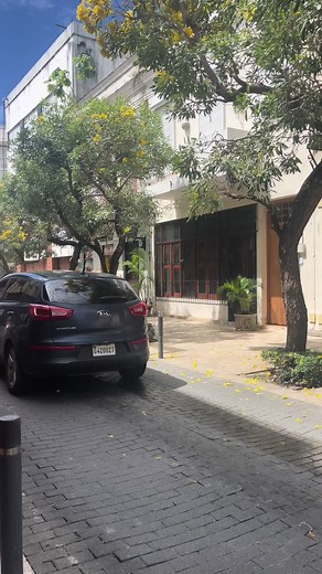 Desayuno en Zona Colonial - Experiencia Culinary única