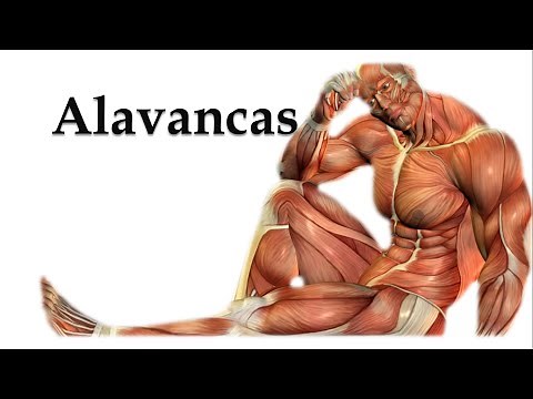 ALAVANCAS - DEFINIÇÃO E CLASSIFICAÇÃO