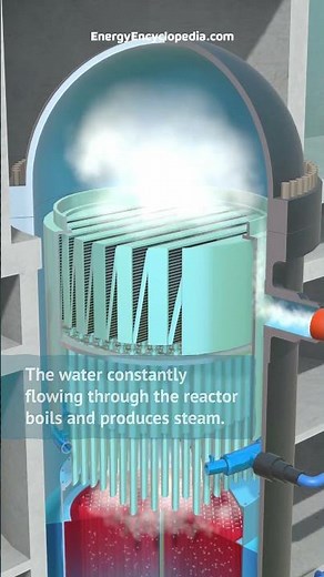 BWR Nuclear Power Plant - How it works?