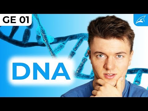 The structure of DNA - simply explained! // Function, structure, bases, histones, condensation st...