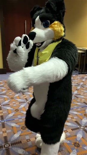 Friends in my Fursuit | Pt.5 #furry #fursuit #furcon #mff