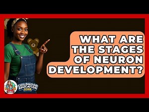 What Are The Stages Of Neuron Development? - Childhood Education Zone