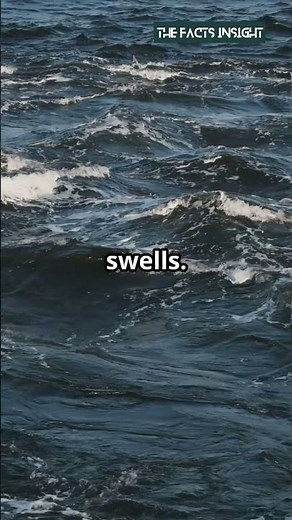 Polynesian Navigators: How They Conquered the Pacific Without Maps! 🌊🌴 #shorts