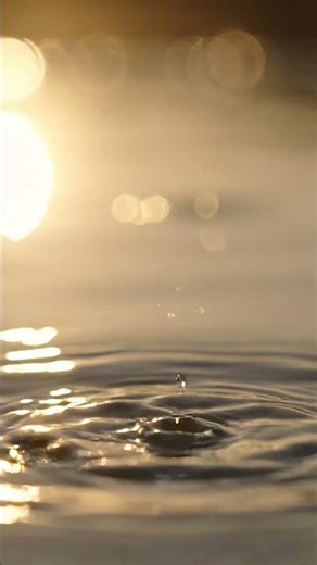 One Drop of Water, One Moment of Peace
