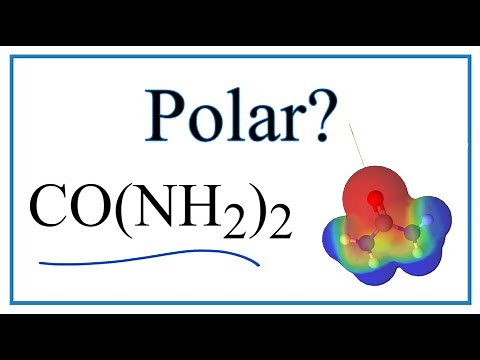 Is CO(NH2)2 (Urea) Polar or Non-Polar?