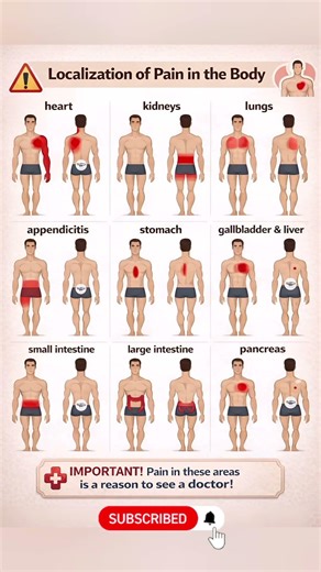 Where Your Body Pain Comes From 🚨 #shorts #healthfacts #bodypain #medicaltips #wellness