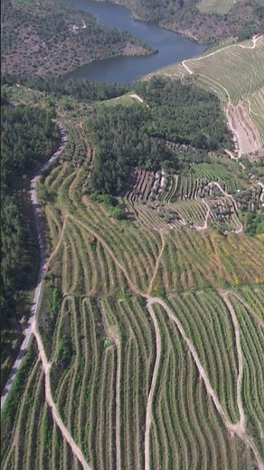 Beautiful Landscape From Above | Peaceful Aerial Escape #landscapesshorts #viralshorts