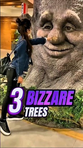 Weird Trees That Will BLOW Your Mind?