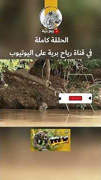 غابات الأمازون: صراع البقاء في قلب الغابة الممطرة | وثائقي 4K مذهل
