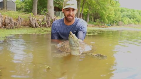 Softshell turtle discovered hiding in backyard pond