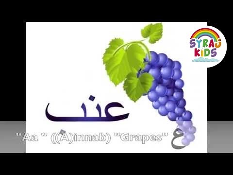 Arabic Letters, Sounds & Pictures - Bilingual (صوتيات الأحرف الأبجدية العربية (ض الى ي