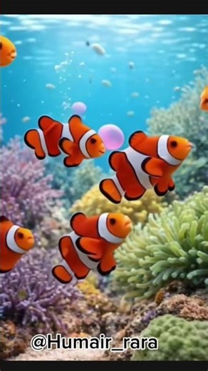 Nemo fish and his friends