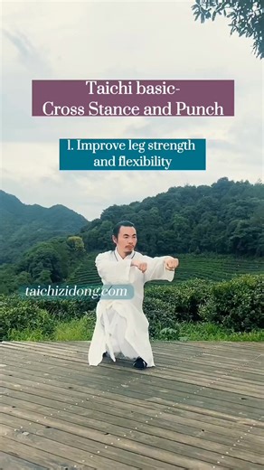 5.7K views · 457 reactions | Taichi basic-Cross Stance and Punch. 1....