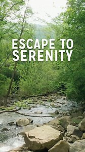 POV: You’re forest bathing in the serene beauty of Stanislaus National Forest, California. 🌲💚 Let nature reset your mind and soul. Discover your forest getaway at https://sm.aaa/96u3dzjd. #AAATravel #ForestBathing #CaliforniaForest | AAA The Auto Club Group