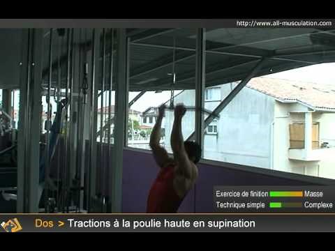 Tractions à la poulie haute en supination (exo de dos)