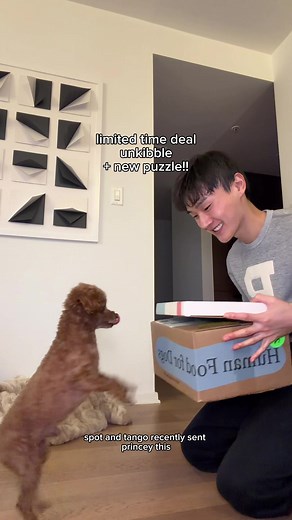 Enhance Your Pet's Routine with Spot and Tango