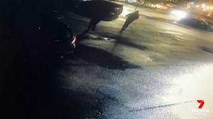 Operation Meld: Police have two rival youth street gangs in their sights after a spate of violent stabbings and brawls in Adelaide’s north, west and the CBD. With so many seriously injured, police are worried someone will soon lose a life. "This is serious offending being committed by children... They come together with weapons and in a violent way. This is a very small minority of a very respectful and non-violent community in South Australia," - Assistant Police Commissioner Scott Duval. Recen