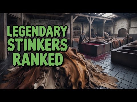 Top 10 Worst Smells in History Ranked!