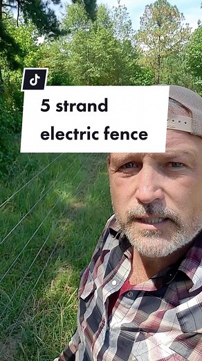 5-strand #electricfence with no electricity #regenerativeagriculture #farmlife #ranching #arkansas #airforceveteran #believer #gregjudy