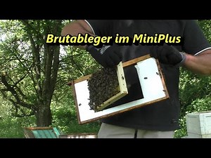 Brutableger im MiniPlus