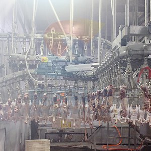 [Hot Item] Chicken Slaughter House Chicken Killing Duck Processing Plant Line