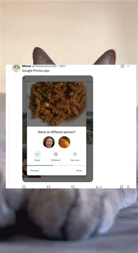 My Google photos app did this