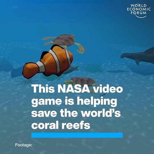 277K views · 2.7K shares | Console conservation .  Read more: https://wef.ch/3stOw9r | World Economic Forum | Facebook