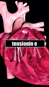 1.8M views · 20K reactions | Ja cfare ndodh me trupin tend nese ha nje qepe cdo dite... Ndaje kete video me dike qe ka nevoje! #keshillashendeti #shendeti #shendetshem #viralshqip #produktenatyrale #ushqimetedemshme #ushqimetëshëndetshme #qepa | Smartmed | Facebook