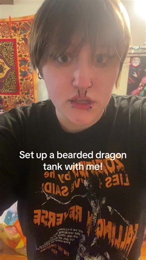 Setting up a bearded dragon tank! #beardeddragon #beardeddragontankupgrade #beardeddragontanksetup #foryoupage #fypシ゚viral
