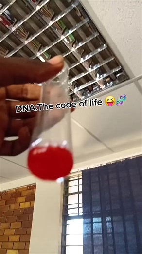Understanding DNA: The Code of Life in Science Experiments