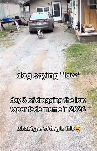 day 3 of dragging the low taper fade meme in 2026 #2026 #lowtaperfadememe #lowtaperfade #meme #massive @Ninja @Fortnite Official