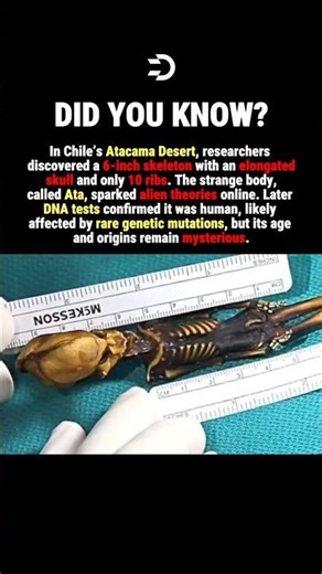 They Thought It Was Proof Of Aliens #history #facts
