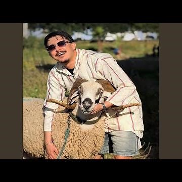 GALBHA HAJARA - Cheb Hichem Tgv