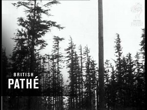 America's Champion Lumberjack (1929)