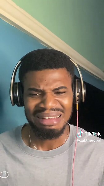 Exploring the Charm of Zak the Robot