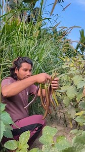 ছোট মাছের ভাজি#shorts