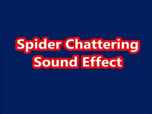 Spider Chattering Sound Effect