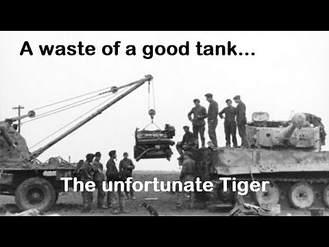 A Controversial Opinion on Tiger