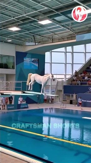 Horse diving | High platform synchronized diving on a white horse