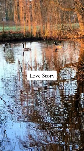 Geese: Do They Really Mate for Life?