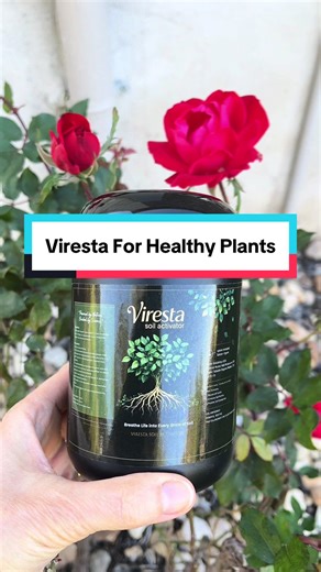 Revitalize Your Soil with Humic Acid for Healthy Plants