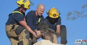 Tucson Fire crews rescue man from chimney