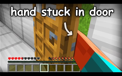 【中文配音】如果《我的世界》变得令人恼火 - Element X