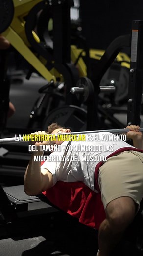 Insta: marclatrefit 🖤 #fypシ #parati #gymtok #fitness #fittok #gymmotivation