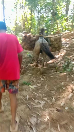 💕💕pangit💕💕 (@era_vlm)’s videos with original sound - 💕💕pangit💕💕