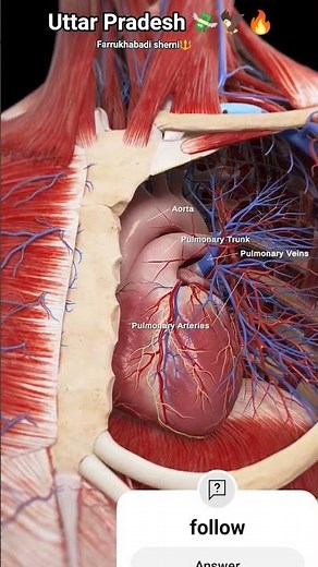 The Future of Radiology (2030 Trends & Innovations)