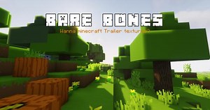 Bare Bones Texture Pack Texture Pack for Minecraft [1.16.5][1.15.2]