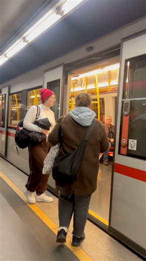 24K views · 522 reactions | Vienna Metro  System #vienna #wien #fblifestyle #autumn | Vienna Uncovered | Facebook