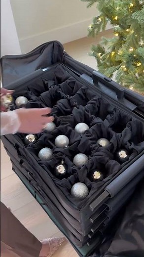 Best Christmas Ornament Storage Box | Holiday Storage Hack