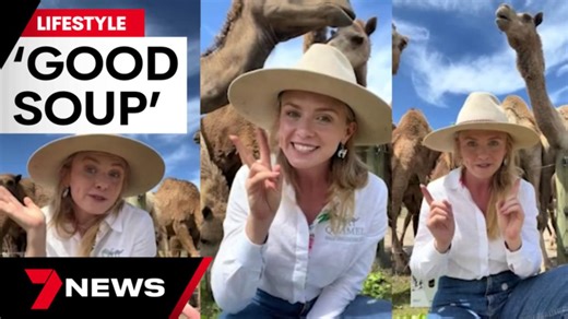 Inside the life of an Aussie camel queen farmer